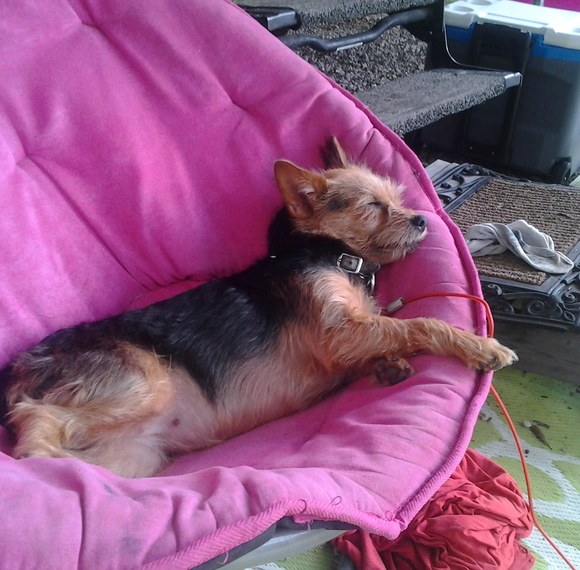 Meet your Posher, Kelly - Picture 1 of 1